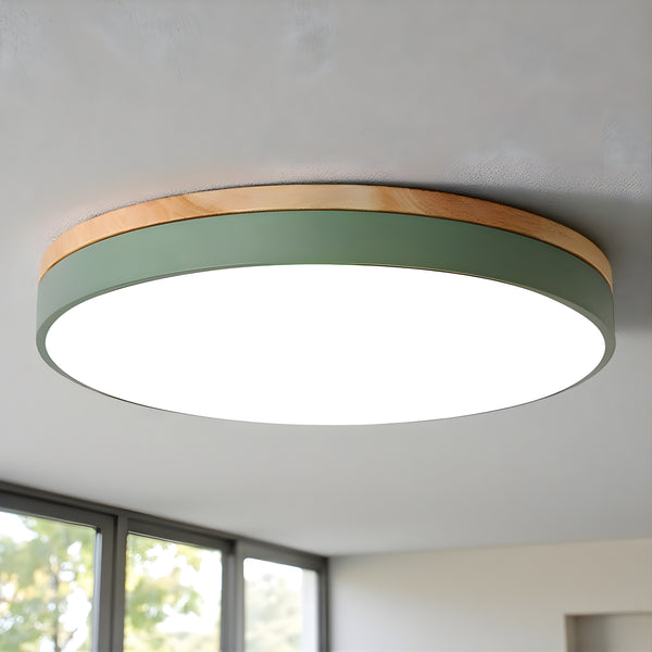 Round Shape Scandinavian Flush Mount LED Ceiling Light