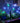 Solar Garden Lights