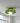 Round Modern Flush Mount Ceiling Light