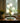 LED Bell Orchid Table Lamp