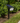 Single Solar Spotlight