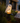Waterproof Solar Owl Light