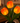 LED Tulip Flower Lamp