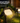 Single Solar Spotlight