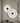 Modern LED Disc Wall Light