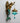 Vintage Mermaid Glow Wall Lamp