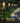 Solea Pathway Lights