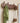 Coat Rack
