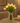 Radiant Romantic Tulip Light