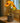 Sunflower Lamp